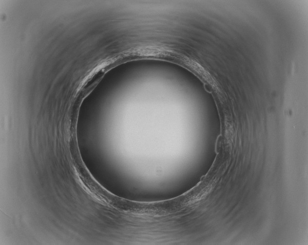 X0000085000530200703191052