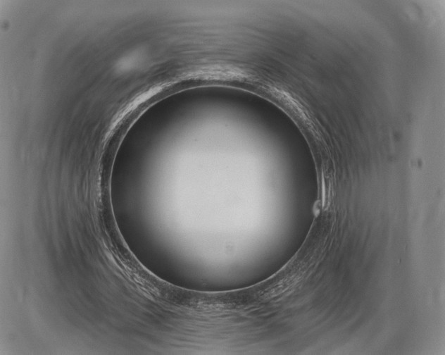 X0000085000531200703191052