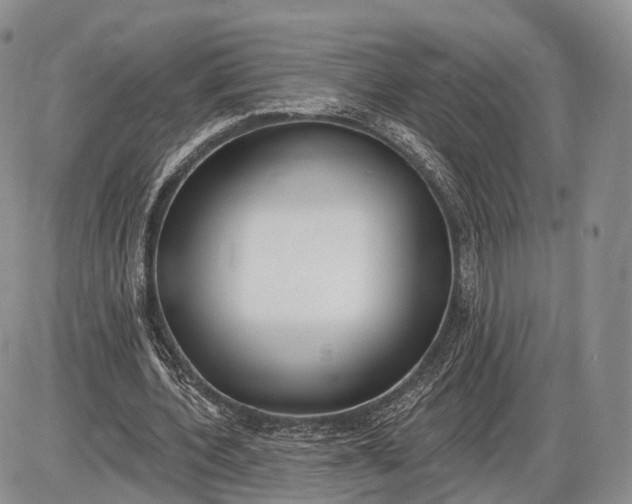 X0000085000532200703191052