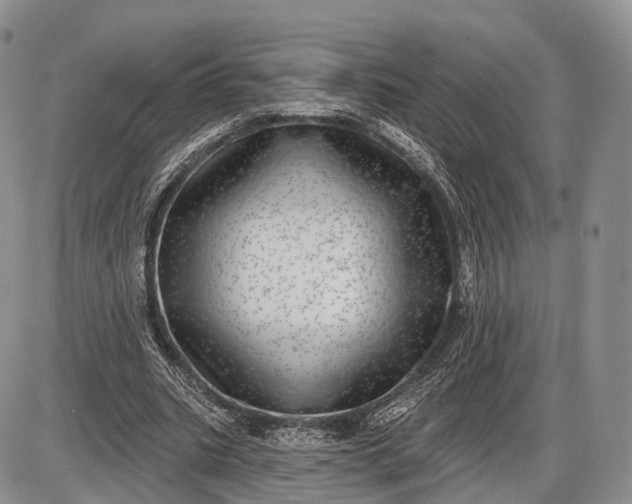 X0000085000535200703191052