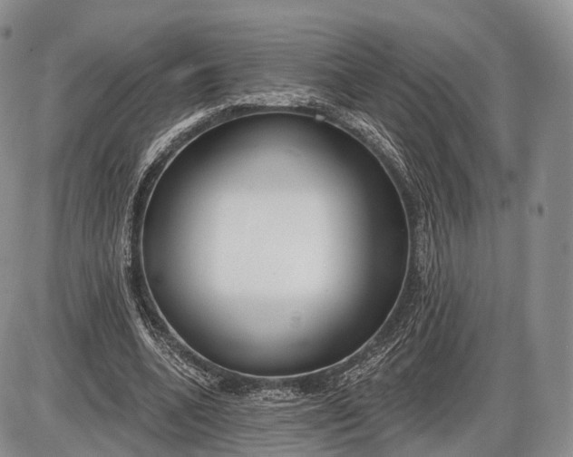 X0000085000536200703191052