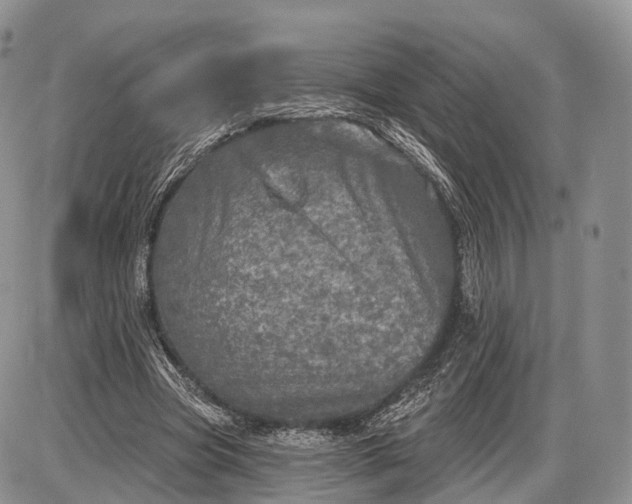 X0000085000537200703191052