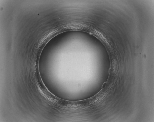 X0000085000538200703191052