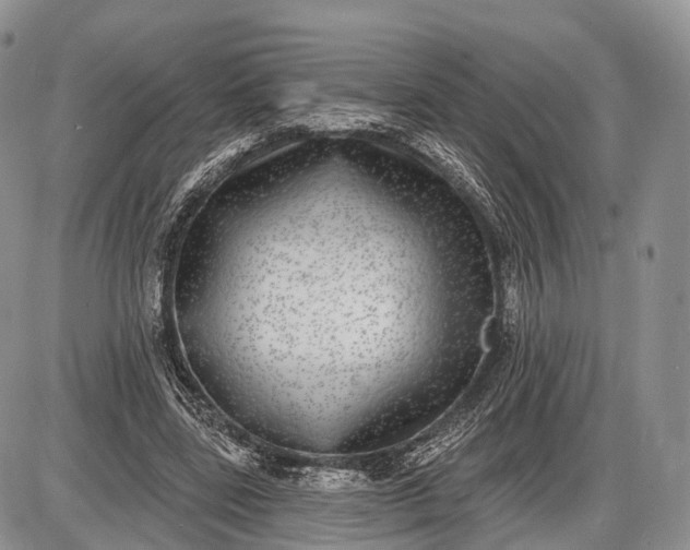 X0000085000539200703191052