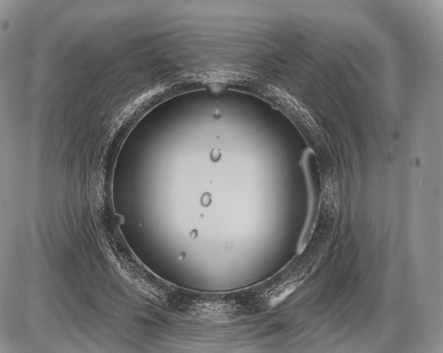 X0000085000540200703191052