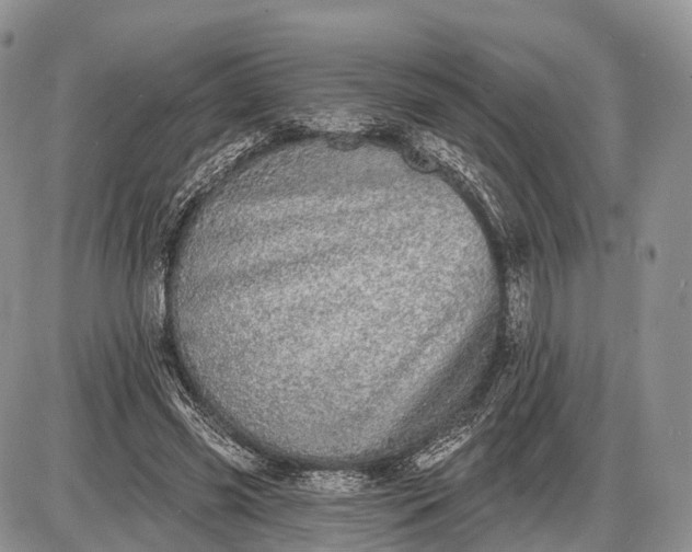 X0000085000541200703191052