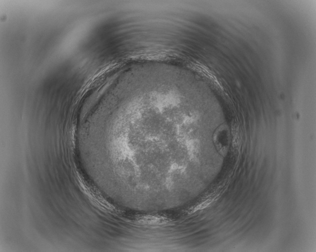 X0000085000542200703191052