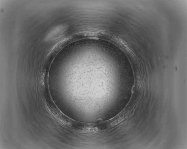 X0000085000543200703191052