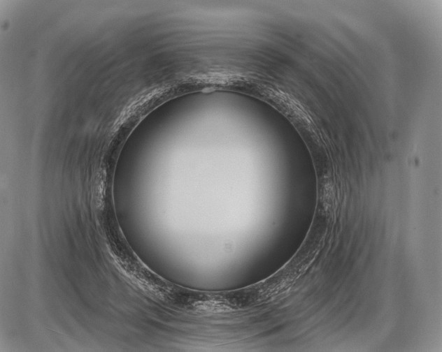 X0000085000544200703191052