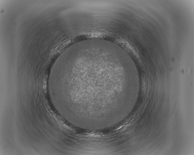 X0000085000545200703191052