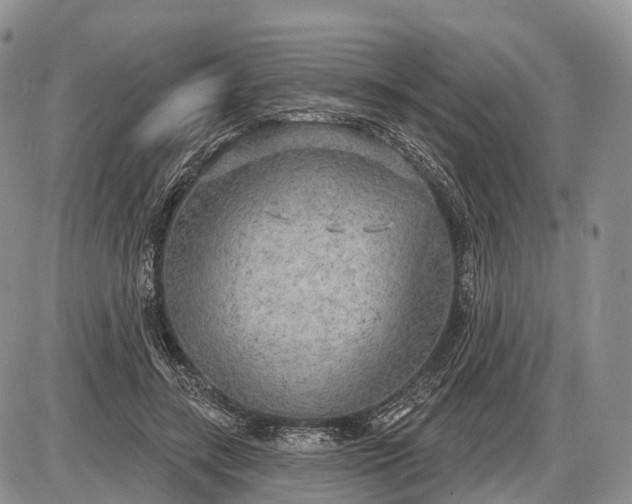 X0000085000547200703191052