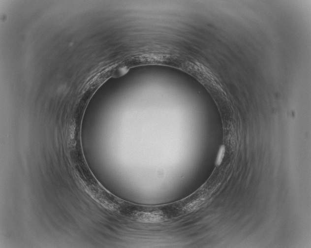 X0000085000548200703191052