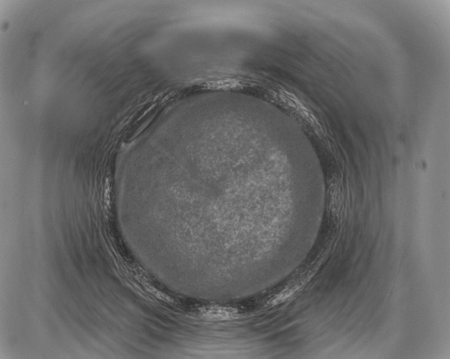 X0000085000549200703191052