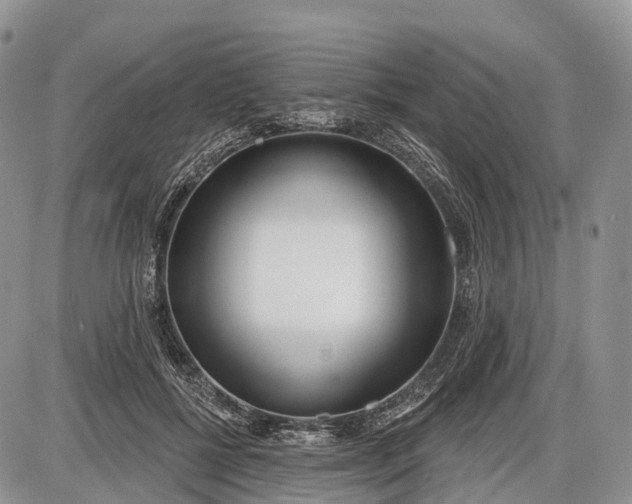 X0000085000552200703191052