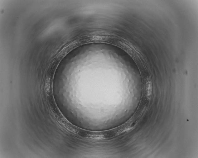 X0000085000554200703191052