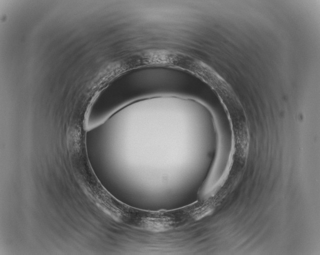 X0000085000556200703191052