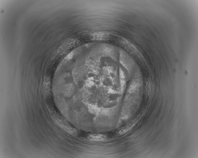 X0000085000557200703191053