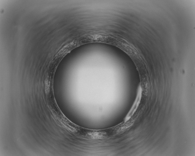 X0000085000558200703191053