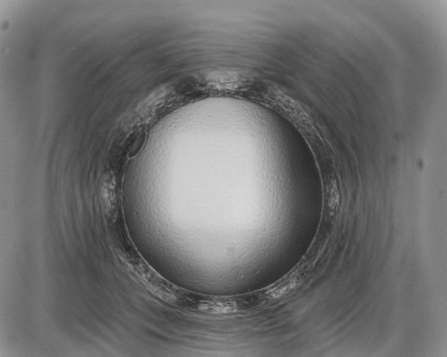 X0000085000559200703191053