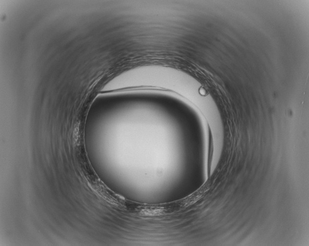 X0000085000560200703191053