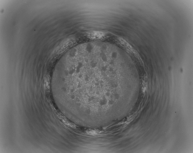 X0000085000561200703191053