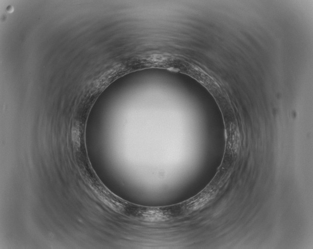 X0000085000562200703191053