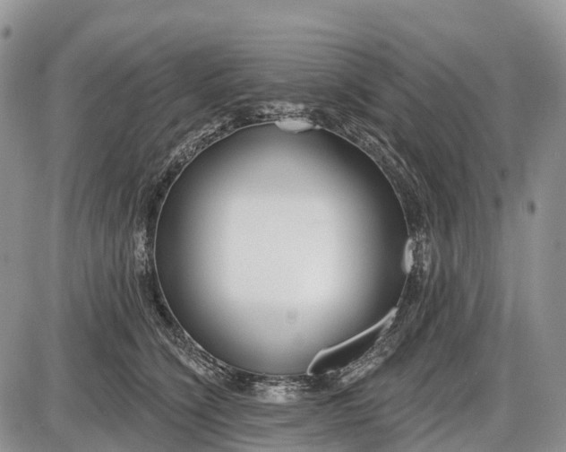 X0000085000564200703191053