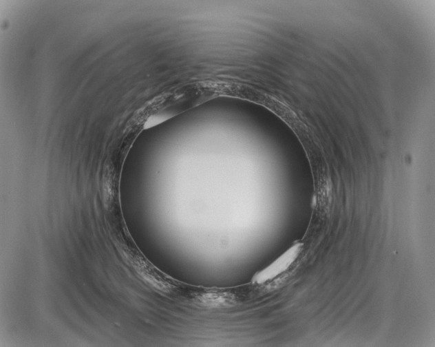 X0000085000566200703191053