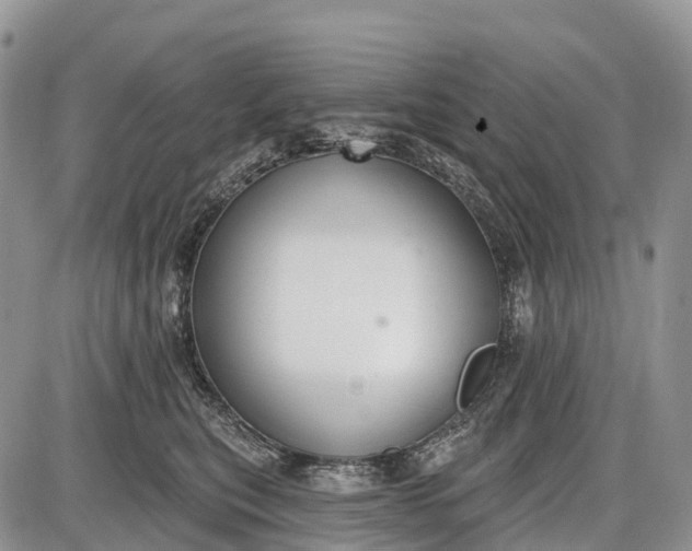 X0000085000567200703191053