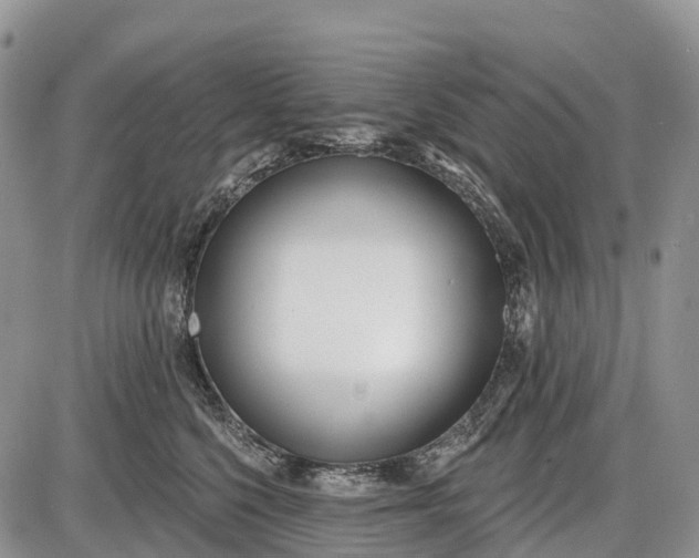 X0000085000568200703191053