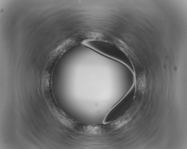 X0000085000570200703191053