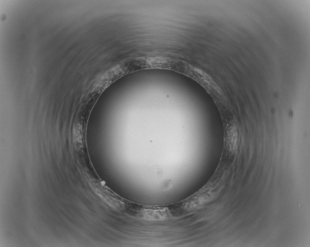 X0000085000571200703191053