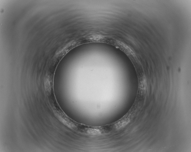 X0000085000572200703191053