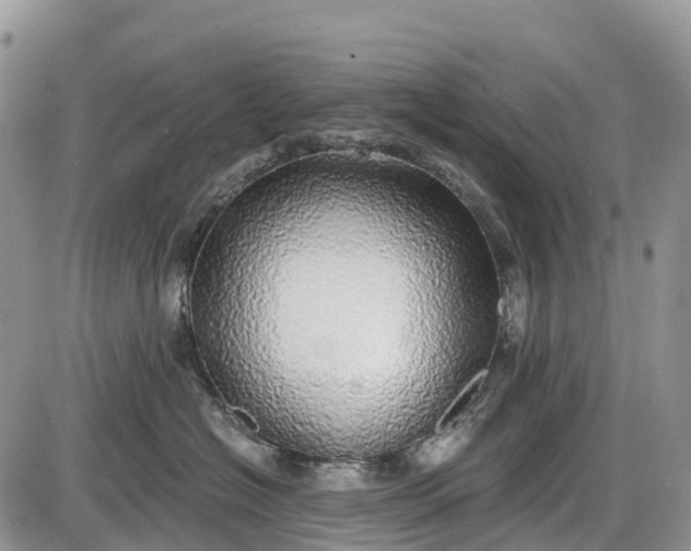 X0000085000574200703191053