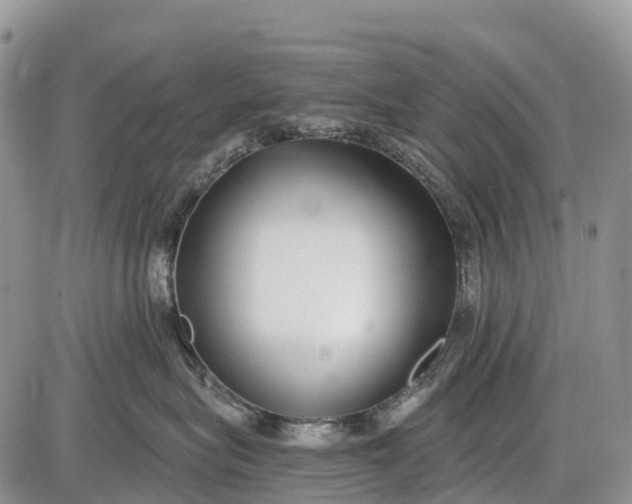 X0000085000575200703191053