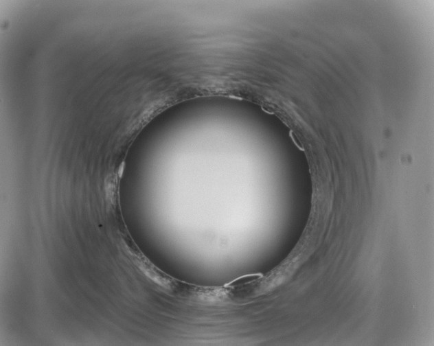 X0000085000576200703191053