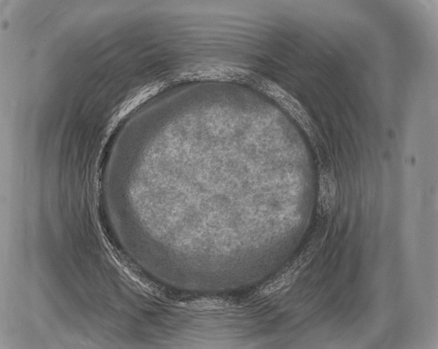 X0000085000578200703191052