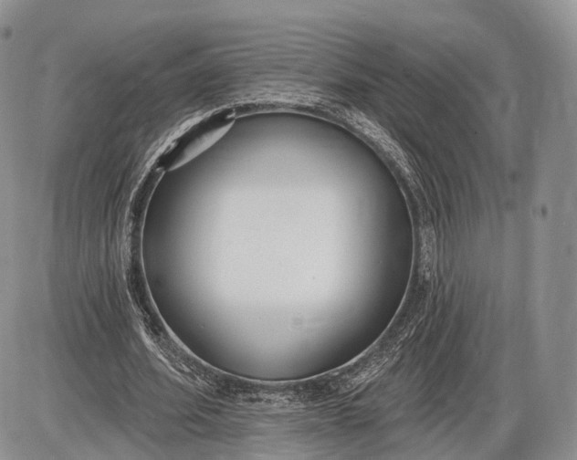 X0000085000580200703191052