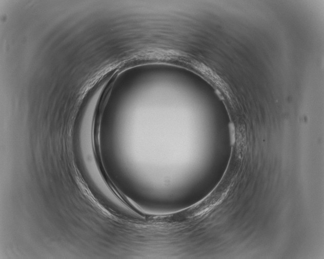 X0000085000581200703191052