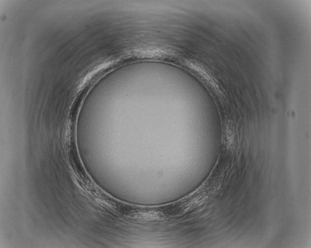 X0000085000583200703191052