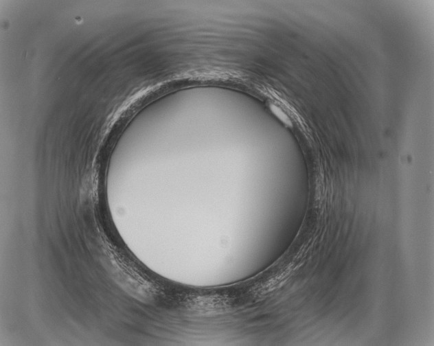 X0000085000584200703191052