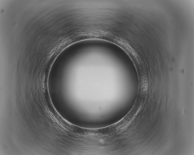 X0000085000585200703191052