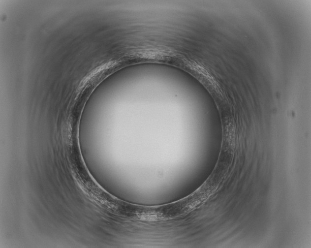 X0000085000587200703191052