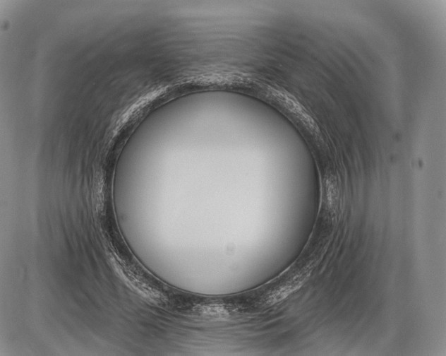 X0000085000588200703191052