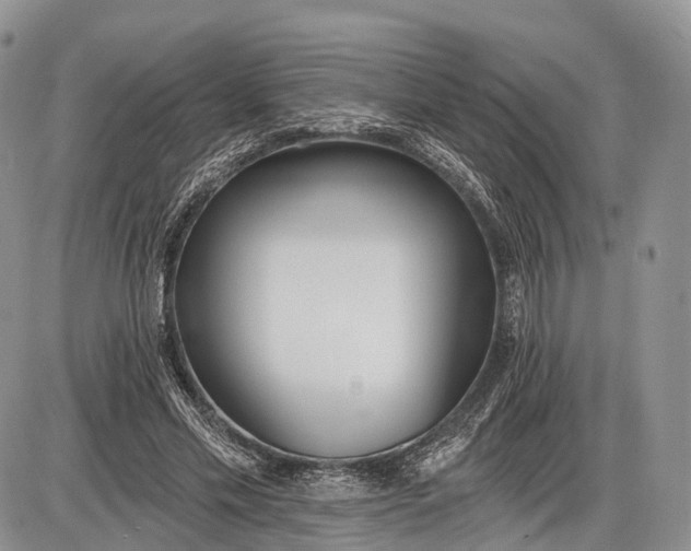 X0000085000589200703191052