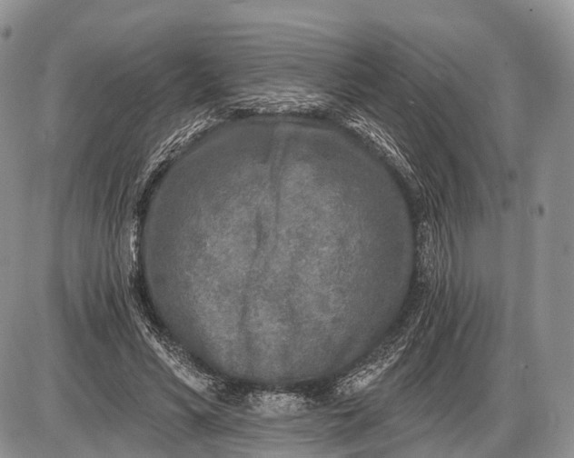 X0000085000590200703191052