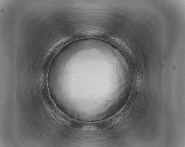 X0000085000591200703191052