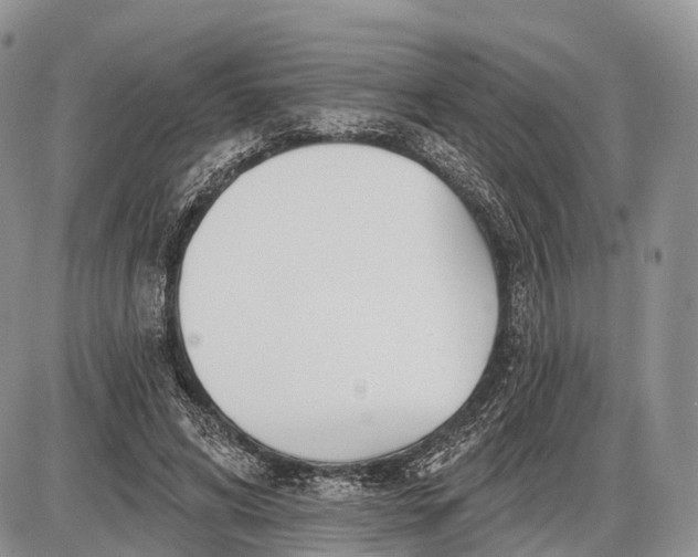 X0000085000592200703191052