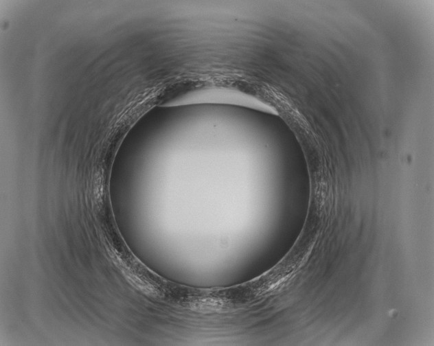 X0000085000593200703191052