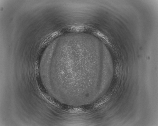 X0000085000594200703191052